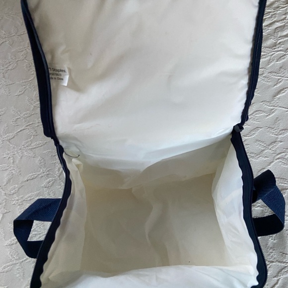 BUD LIGHT SELTZER Insulated Cooler Bag with Seltzer Logo 6 pack size NWOT - Picture 4 of 4